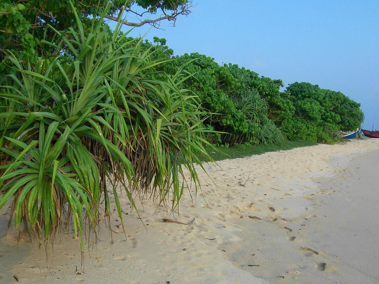 Mendis Cottage Weligama Kültér fotó